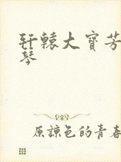 轩辕大宝芳菲雅琴