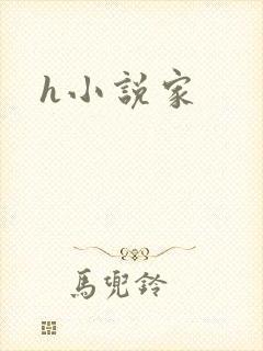 h小说家