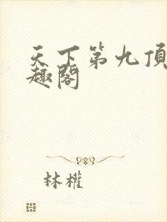 天下第九顶点笔趣阁封面