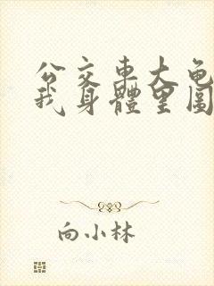 公交车大龟廷进我身体里图封面