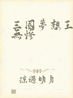 三国梦想王元姬无惨