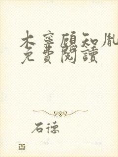 木宁顾知胤小说免费阅读