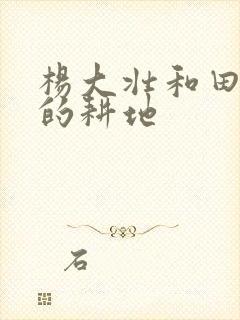 杨大壮和田桂花的耕地