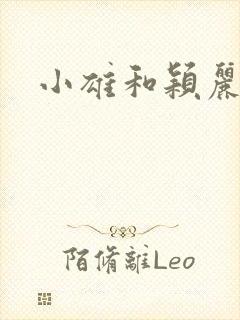 小雄和颖丽封面