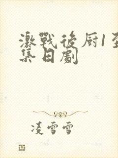 激战后厨1至5集日剧