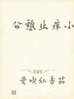 公憩止痒小说封面