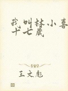 我叫林小喜今年十七岁