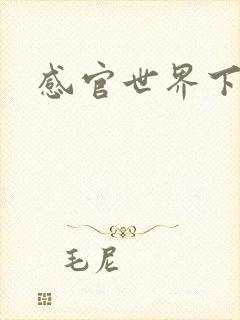 感官世界下载封面