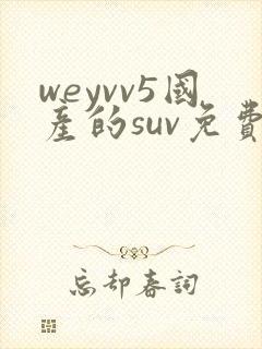 weyvv5国产的suv免费