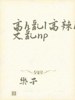 高h乱l高辣h文乱np
