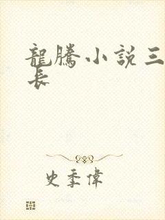 龙腾小说三宝局长封面