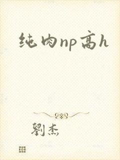 纯肉np高h