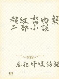 超级胬肉系统第二部小说封面