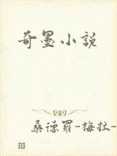 奇墨小说