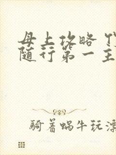 母上攻略 竹影随行第一主板