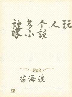 被多个人玩屁股眼小说封面