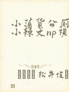 小荡货公厕h文小辣文np视频