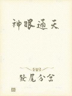 神眼通天封面