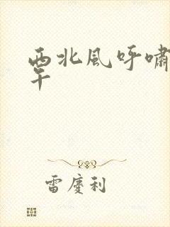 西北风呼啸的中午