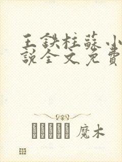 王铁柱苏小汐小说全文免费阅读最新章节