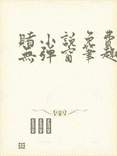 赌小说免费阅读无弹窗笔趣阁封面