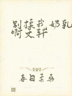 别揉我奶乳嗯～啊文轩封面