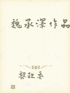 魏承泽作品封面