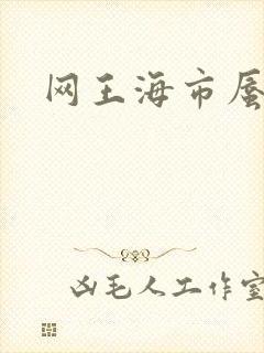 网王海市蜃楼