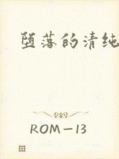 堕落的清纯校花封面