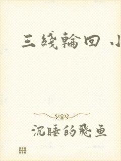 三线轮回 小说