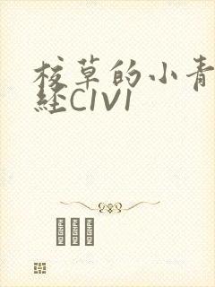 校草的小青梅不经C1V1