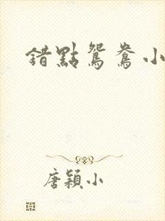 错点鸳鸯小说