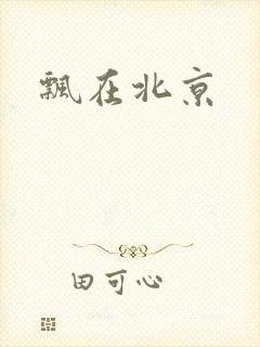 飘在北京