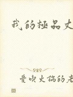 我的极品丈母娘