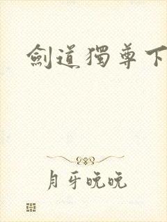 剑道独尊下载封面