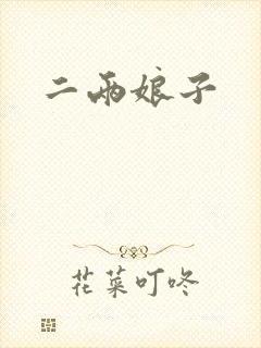 二两娘子封面