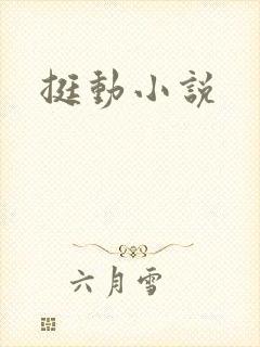 挺动小说