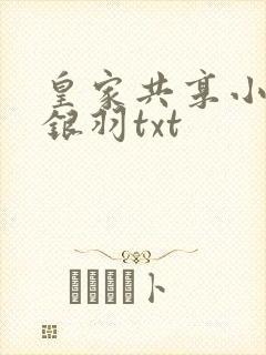 皇家共享小公主银羽txt封面