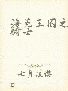 洛克王国之圣龙骑士