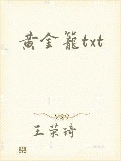 黄金笼txt