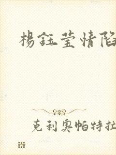 杨钰莹情陷红楼