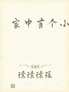 家中有个小姨子封面