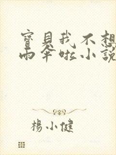 宝贝我不想带小雨伞啦小说封面