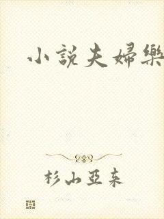 小说夫妇乐园封面