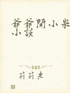 爷爷开小米的包小说