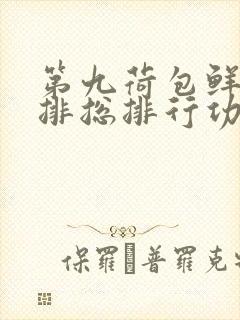 第九荷包鲜辣肉排总排行功能介绍