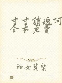 寸寸销魂何生祥全本免费封面