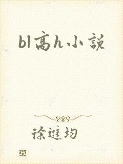 bl高h小说