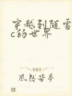 穿越到随处可以c的世界