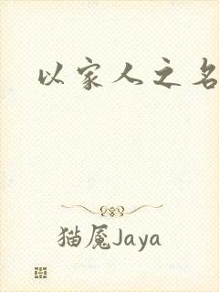 以家人之名小说